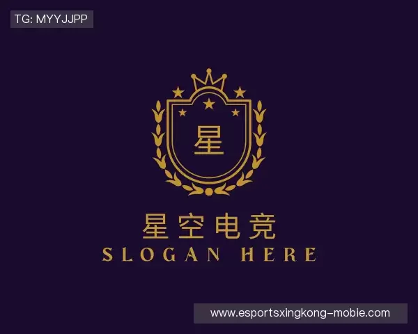 了解星空电竞官网